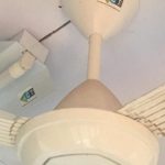 Ecogreen Care Program 2