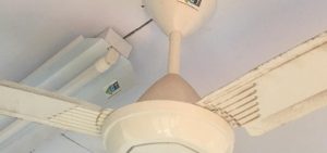 Read more about the article ECT Care Program is Back