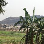 Ecogreen Care Program 4