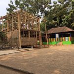 Ecogreen Care Program 5